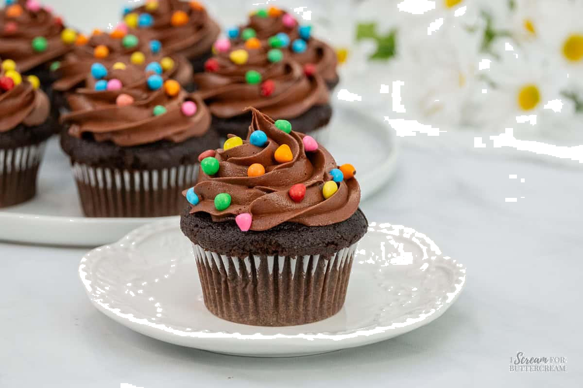 Chocolate cupcakes with colorful candies